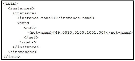 300-535 dumps exhibit